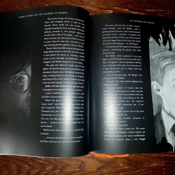 The Philosopher's Stone and Chamber of Secrets books Illustrated by Jim Kay - Picture 9 of 11